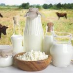 Unveiling the Nutritional Marvel: Exploring WellHealthOrganic Buffalo Milk Tag